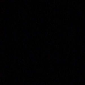 Meet your Posher, Bryce